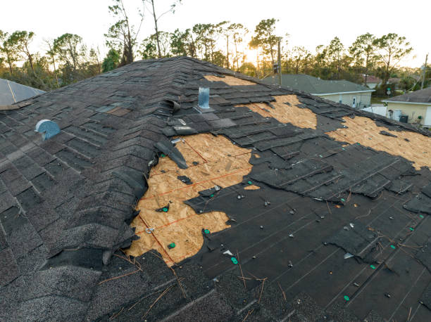 Best Roof Moss and Algae Removal  in Weaverville, CA